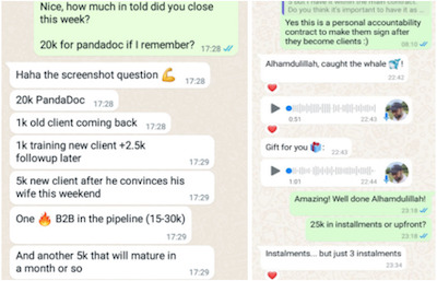 whale bait offers results 1